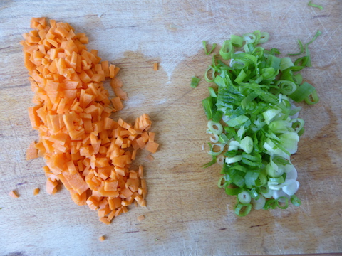 chopped carrot spring onion_web