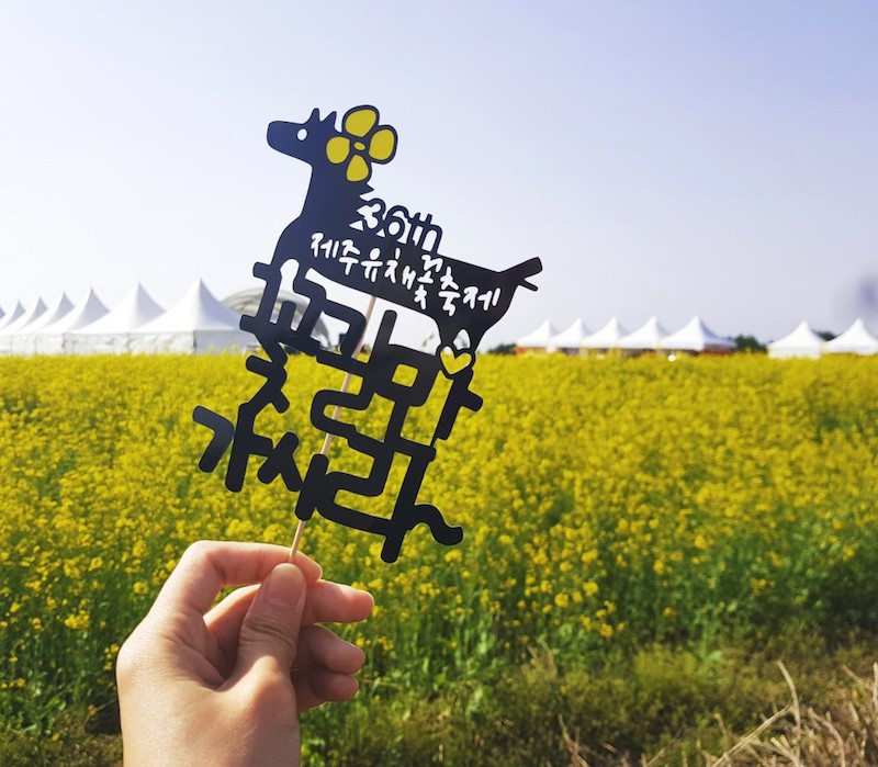 Jeju canola festival evidenza
