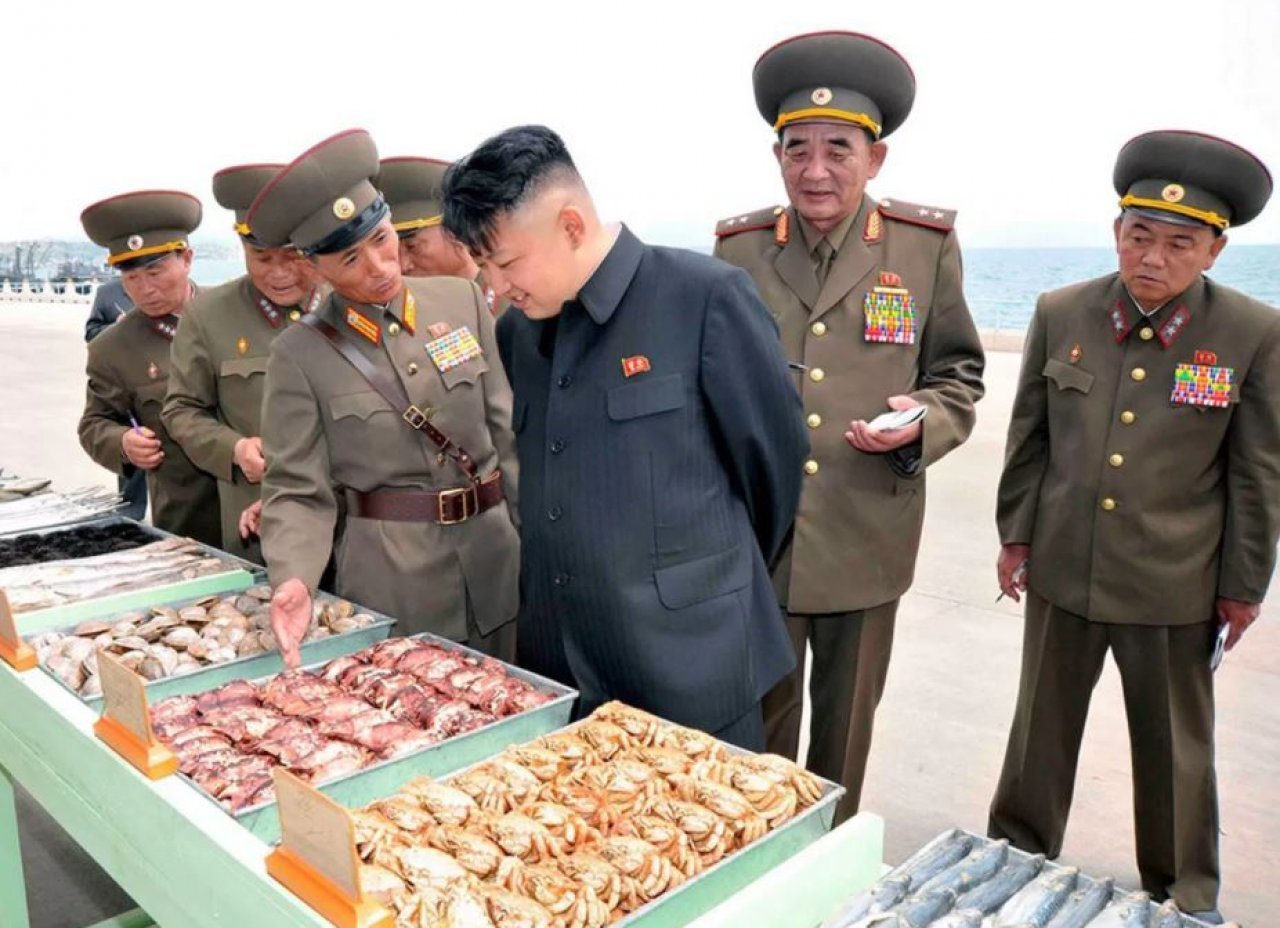 evidenza cibo corea del nord