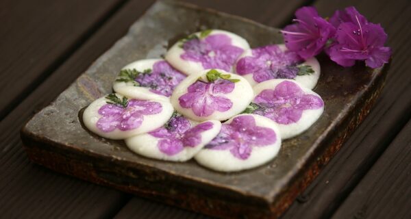 hwajeon dolci coreani con fiori commestibili
